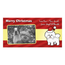 Christmas Bichon Frise Customised Photo Card