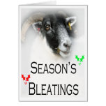 Christmas Bleatings Sheep Card