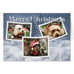 Christmas - Border Collie - Cockapoo Greeting Card
