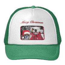 christmas boxers hat