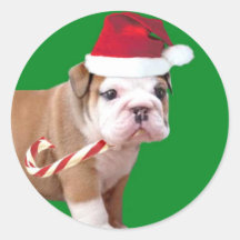 Christmas Bulldog puppy stickers