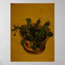 Christmas cactus poster