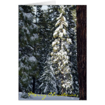 Christmas Card 2006