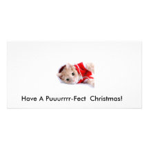 christmas cat picture card