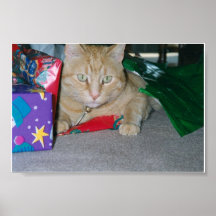 Christmas Cat Posters