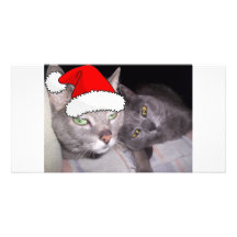 Christmas Cats Customised Photo Card