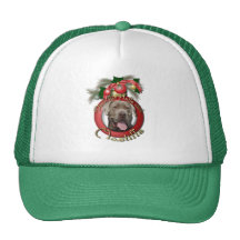 Christmas - Deck the Halls - Mastiffs - Snoop Mesh Hat
