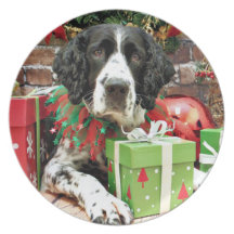 Christmas - English Springer Spaniel - Barney Plate