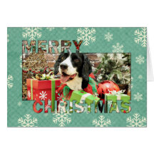 Christmas - English Springer Spaniel - Betsy Cards