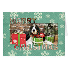 Christmas - English Springer Spaniel - Mac Cards