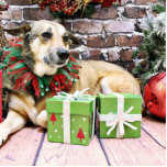 Christmas - German Shepherd - Sage Photo Cut Out