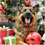 Christmas - German Shepherd - Thor Cut Out