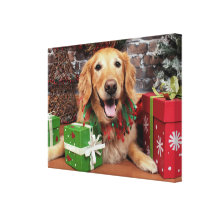 Christmas - Golden Retriever - Sidney Stretched Canvas Prints