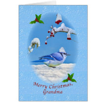Christmas, Grandma, Blue Bird and Snow Cards