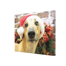 Christmas - Greyhound - Pena Gallery Wrapped Canvas