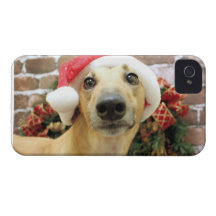 Christmas - Greyhound - Pena Case-Mate iPhone 4 Cases