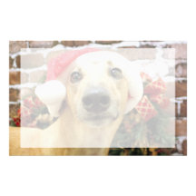 Christmas - Greyhound - Pena Stationery Design