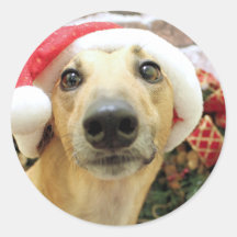 Christmas - Greyhound - Pena Stickers