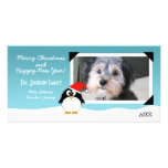 Christmas Holiday Penguin Photo Card
