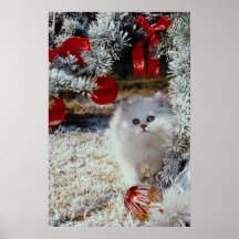 Christmas kitten posters