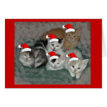 Christmas kittens greeting card