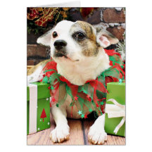 Christmas - Pitbull X - Opie Greeting Cards