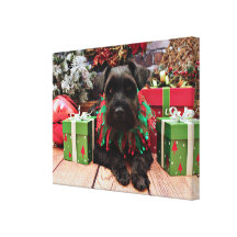 Christmas - Schnauzer Mix - Bentley Canvas Prints