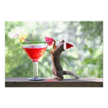 Christmas Squirrel Drinking a Cocktail Photo