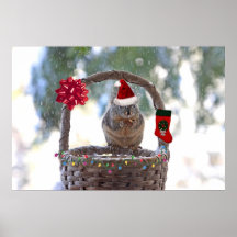 Christmas Squirrel in Snowy Basket Print
