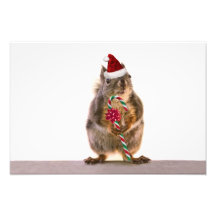 Christmas Squirrel with Candy Cane Art Photo