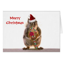 Christmas Squirrel with Candy Cane Card