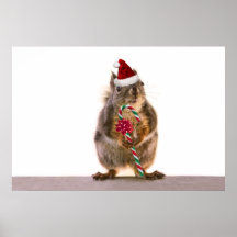 Christmas Squirrel with Candy Cane Poster