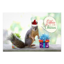 Christmas Squirrel with Christmas Presents Photo