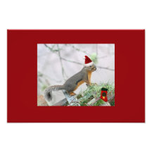 Christmas Squirrel with Christmas Stocking Art Photo