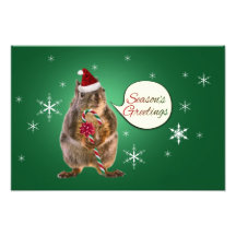 Christmas Squirrel with Snowflakes Photograph