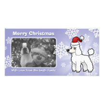 Christmas Standard/Miniature/Toy Poodle puppy cut Photo Card