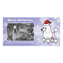 Christmas Standard/Miniature/Toy Poodle (show cut) Customized Photo Card