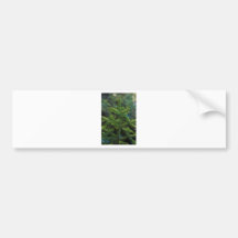 christmas tree branches bumper sticker