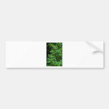 christmas tree branches bumper sticker