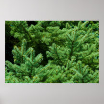 christmas tree branches print