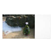 Christmas Tree Right Side Waves Rocks Picture Card