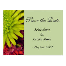 chrysanthemum flowers save the date post card.
