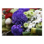 Chrysanthemum Photo