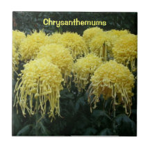 Chrysanthemums Tiles