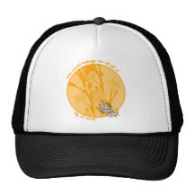 Chuchus Holistic Hat