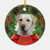 Chuey 2012 Holiday Ornament ornaments