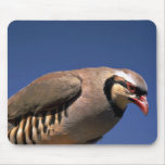 Chukar Mouse Pad