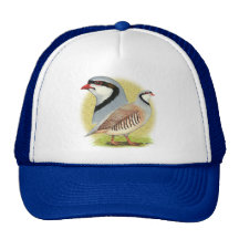 Chukar Partridge Combo Trucker Hat