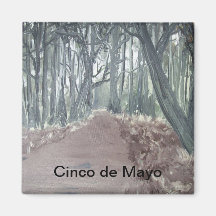 Cinco de Mayo Fridge Magnets