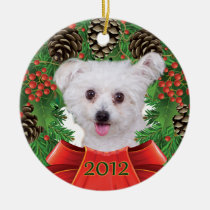 Cindy Holiday Ornament ornaments